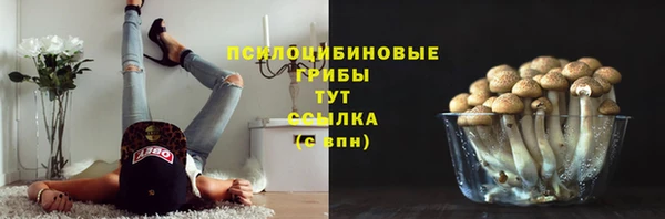 меф Армянск