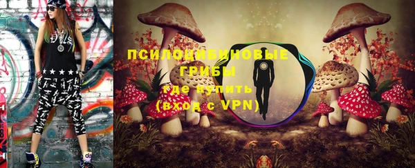 MESCALINE Аркадак