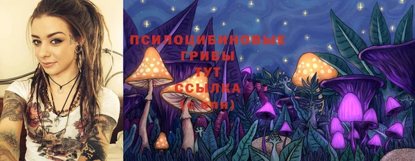 MESCALINE Аркадак