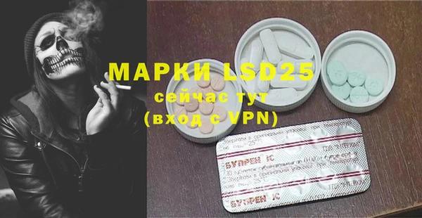 PSILOCYBIN Арсеньев