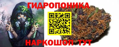 крисы Ирбит