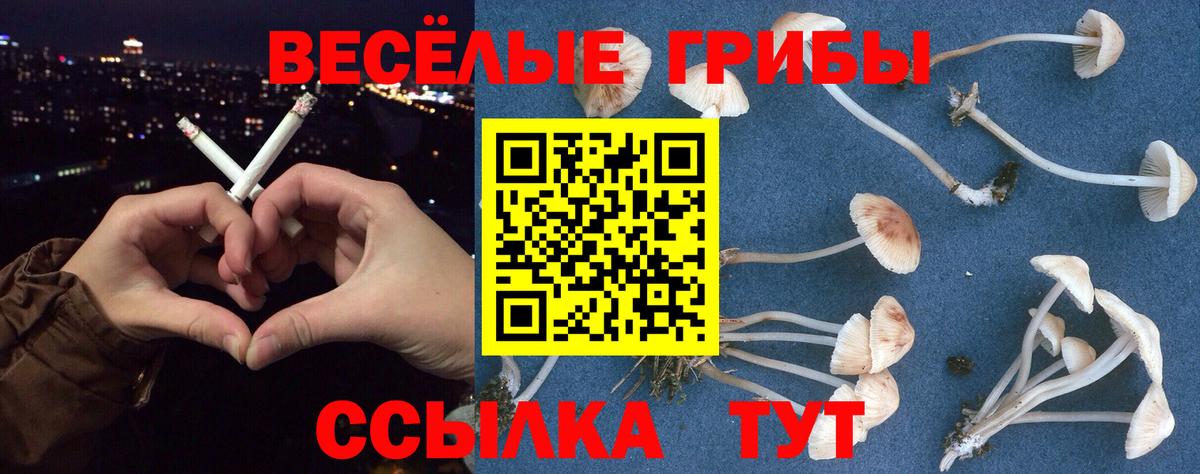 Галлюциногенные грибы Cubensis Новый Уренгой