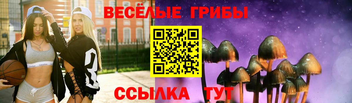 Псилоцибиновые грибы MAGIC MUSHROOMS  Вход с VPN  что такое   Новый Уренгой 